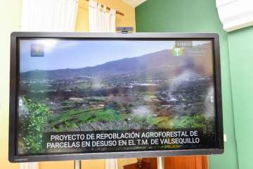 Plantación de 4.400 almendreros, nogales, higueras y olivos en Valsequillo (Foto TA)
